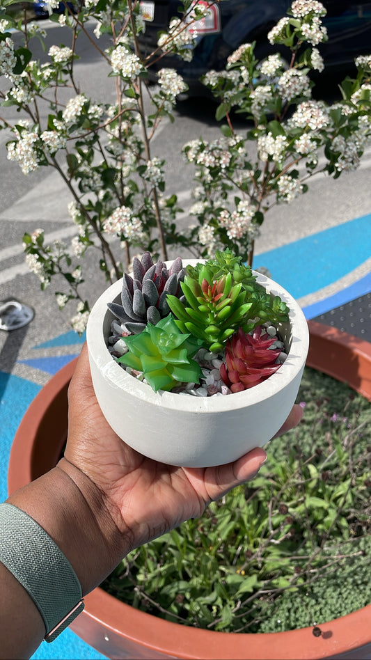 DIY Project: Repurposing Used Concrete Vessels as Stylish Plant Pots